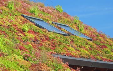 Hebburn living roof systems